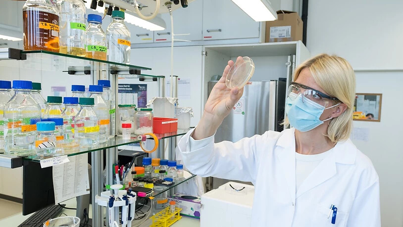 Die ZHAW-Forscherin Rebecca Buller entwickelt gemeinsam mit ihrem Team effiziente plastikfressende Enzyme im Labor.