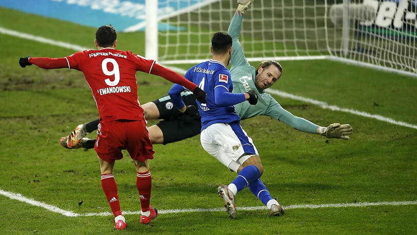 Die Entscheidung in Gelsenkirchen: Robert Lewandowski erzielt das 2:0 für die Bayern gegen Schalke