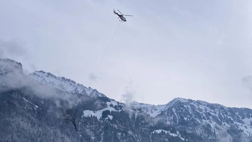 Bye Bye Baum: Ein Helikopter transportiert den zersägten Ahorn.