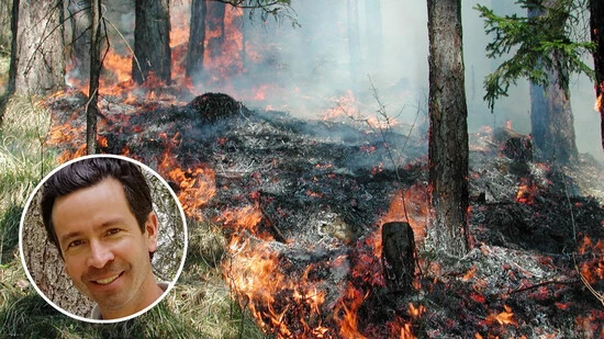 Der Experte erklärt: Maurus Frei von der Abteilung Wald und Naturgefahren informiert über Glarner Waldbrände.
