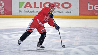 Will sich via SCRJ Lakers wieder für die NHL empfehlen: Der tschechische Stürmer Vladimir Sobotka.