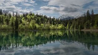 Verzaubernde Spiegelung: Berg und Wald im stillen See.