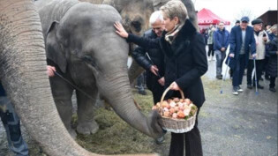 Sie hat ein offenes Ohr für alle und jeden: Karin Keller-Sutters Besuch verzauberte alle Gäste gleichermassen – sogar Elefantendame Dheli und die junge Kalaya freuen sich über den hohen Besuch.
