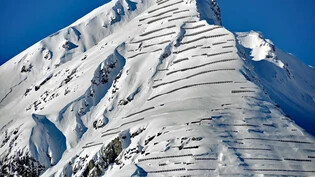 Ende Januar 2018 ragten teilweise nur noch die Spitzen der Lawinenverbauungen am Schiahorn in Davos aus dem Schnee.