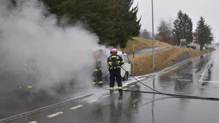 Die Feuerwehr konnte das brennende Fahrzeug löschen.