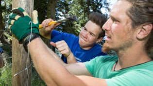 Die GKB bietet jährlich 60 Sommerjobs im Rahmen des Bergwaldprojekts an.