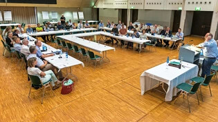 Entscheidungs- statt Diskussionsgremium: Stadtrat und Parteien möchten das Stadtforum von Rapperswil-Jona zugunsten eines echten Parlaments abschaffen.