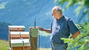 Einfache Konstruktion, grosse Wirkung: Meldet die Anlage Gewichtsverluste bei den Bienenvölkern, wird Peter Tarnutzer rechtzeitig informiert.