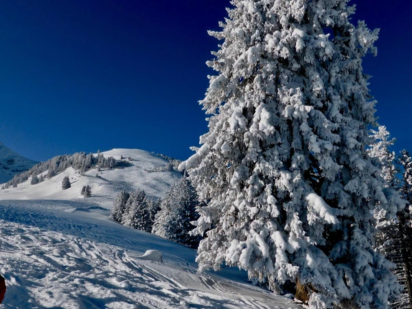 Am Wochenende bleibt es in Graubünden sonnig. Für Wintersportfans sind das gute Verhältnisse.