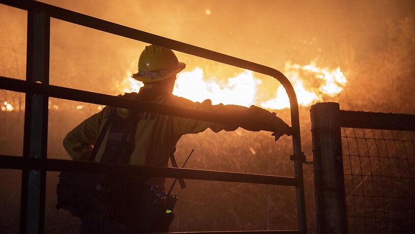 Mehr als 1000 Einsatzkräfte befinden sich derzeit im Einsatz gegen einen Flächenbrand im US-Bundesstaat Kalifornien. Foto: Erick Madrid/ZUMA Press Wire/dpa