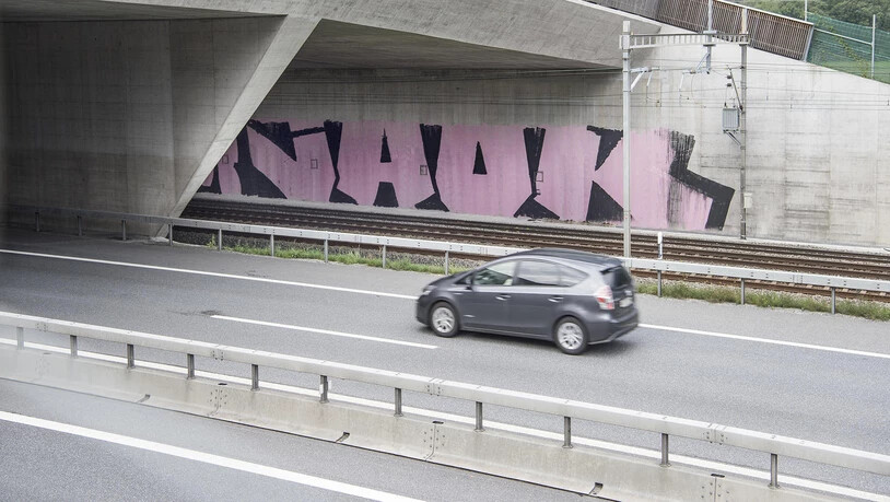 Ein Illegales Riesengraffiti bei der Wildtierbrücke auf der A13.