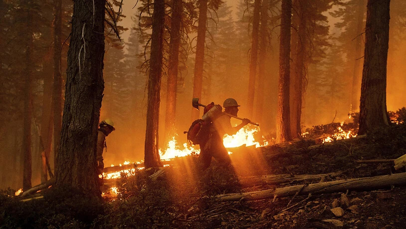 Feuerwehrmänner sind im Einsatz, um den Brand im Norden des Waldgebietes «Plumas National Forest» im Bundesstaat Kalifornien einzudämmen. Foto: Noah Berger/AP/dpa