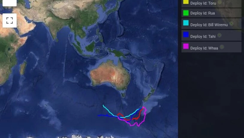Routen von sechs Walen können im Internet unter https://www.tohoravoyages.ac.nz/tracks-of-the-tohora/ verfolgt werden. Wider erwarten schwammen zunächst alle nach Süden, inzwischen sind sie aber Richtung wärmere Gefilde abgebogen. (Screenshot)