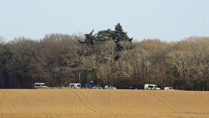 Polizeifahrzeuge stehen vor einem Waldstück in der Grafschaft Kent, nachdem dort die Leiche der vermissten Sarah E. gefunden worden sein soll. Nach dem Verschwinden der Frau in London ist ein Polizist festgenommen worden. Foto: Gareth Fuller/PA Wire/dpa