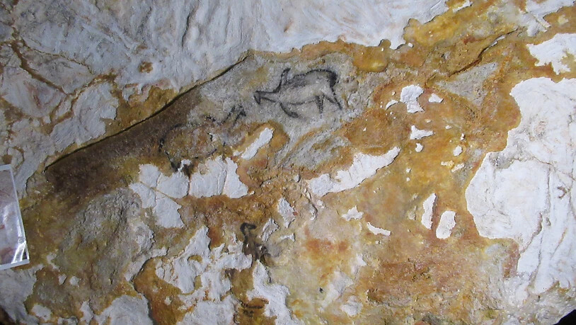 Eine Replik der Felsmalereien der Cosquer-Höhle. Die Abbildungen stellen den Riesenalk dar, den Urahn der Pinguine. Foto: Sabine Glaubitz/dpa