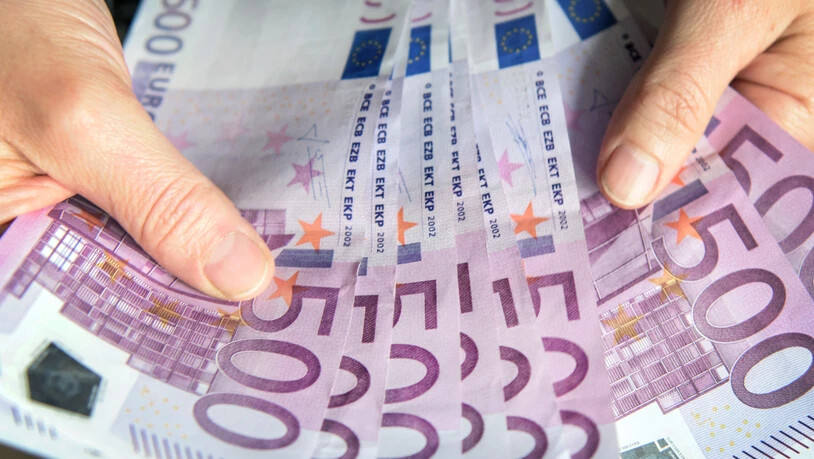 Ein falscher Diplomat hatte in einer Aktentasche gefälschte Bargeldanmeldungen  von insgesamt 38 Millionen Euro. (Symbolbild)