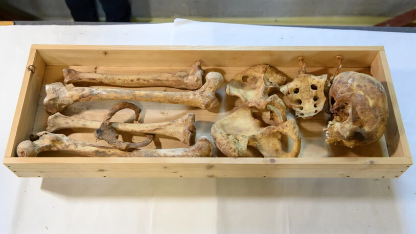 In einer Holzkiste wurden Knochen und ein ganzer Schädel gefunden. Ob die Überreste von ein und derselben Person stammen und von wem, soll nun mittels Kohlenstoffanalysen herausgefunden werden.