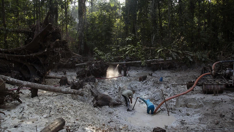 ARCHIV - Bergleute arbeiten illegal auf der Suche nach Gold im Amazonas-Regenwald. Foto: Lucas Dumphreys/AP/dpa
