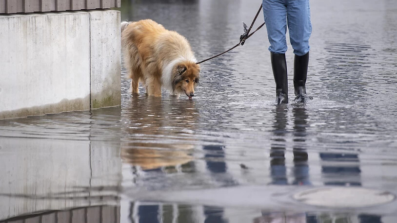 Nasse Füsse für Hund und Halterin: Szene auf dem überschwemmten Dorfplatz von Stansstad NW.