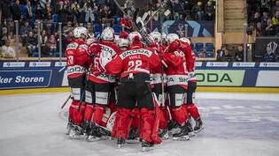 Ausgelassene Freude: Pardubices Spieler feiern nach dem Sieg gegen das Team Canada.