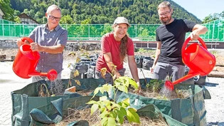 Werner Buchmann, stellvertretender Direktor der Pensionskasse, Karin Roth von der Lernstatt Känguruh in Malix und Harry Wolfensberger, Leiter Freiraumplanung der Stadt Chur (von links), kümmern sich hier um die Pflanzen beim Urban Gardening. 