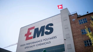 Die Ems-Chemie mit ihrem Hauptproduktionsstandort in Domat/Ems ist verhalten ins neue Jahr gestartet.